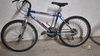 Bicicleta infantil 24.  Cubiertas nuevas
