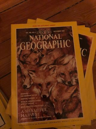 Revistas National Geographic 1991. 3 euros ejempla