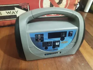 Cargador Batería Coche Ring SmartCharge8