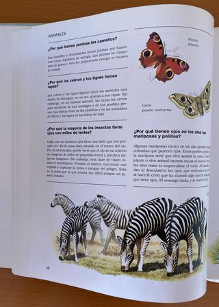 Libro 1000 preguntas y respuestas