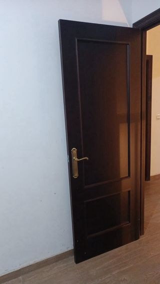 Puerta interior wengue