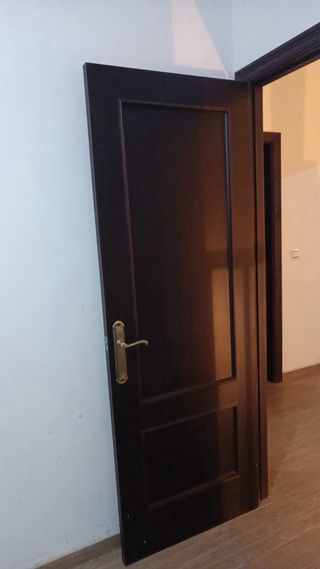 Puerta interior wengue