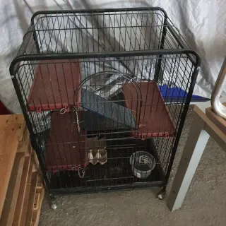 Jaula para hurones, conejos, hámster