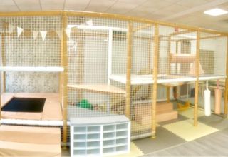 parque de bolas para cumpleaños