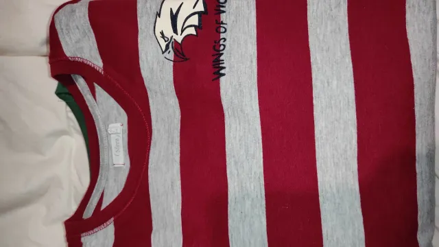 2 Camisetas niño manga larga