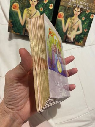 Oráculo de los Espíritus de la Naturaleza