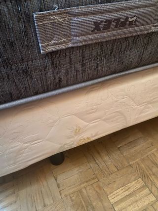 Base tapizada y colchón