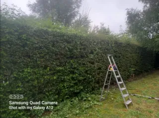 Jardinero económico