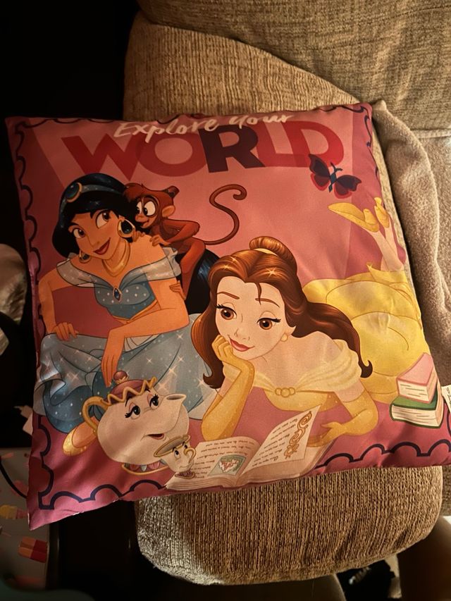 Cojín Princesas Disney