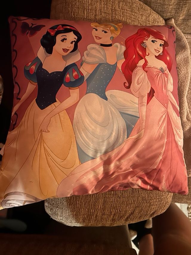 Cojín Princesas Disney