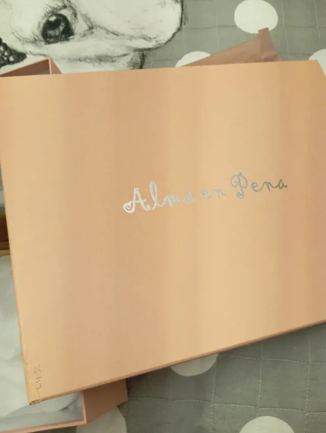 Botas de ante marrones