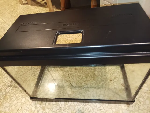 Terrario pequeño negro y transparente