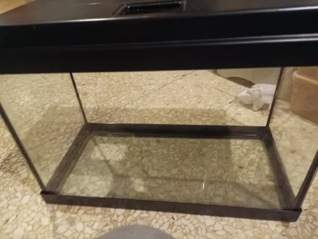 Terrario pequeño negro y transparente