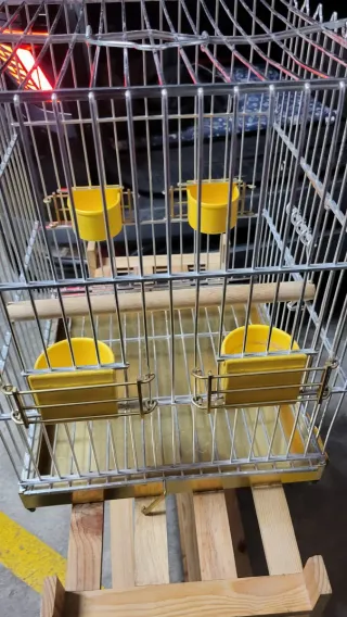 Jaula para ninfa plateada con accesorios amarillos