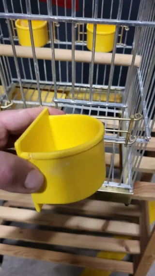 Jaula para ninfa plateada con accesorios amarillos