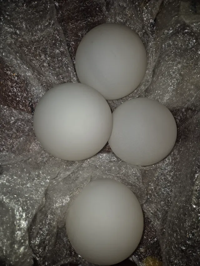 Tulipas globo cristal mate, sin cuello, 5 cm boca.