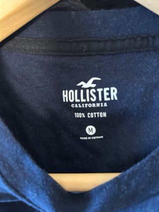 Sudadera Hollister Degradado