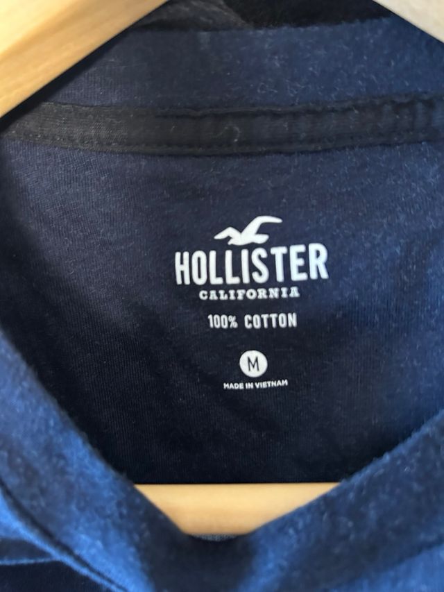 Sudadera Hollister Degradado