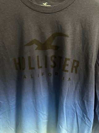 Sudadera Hollister Degradado