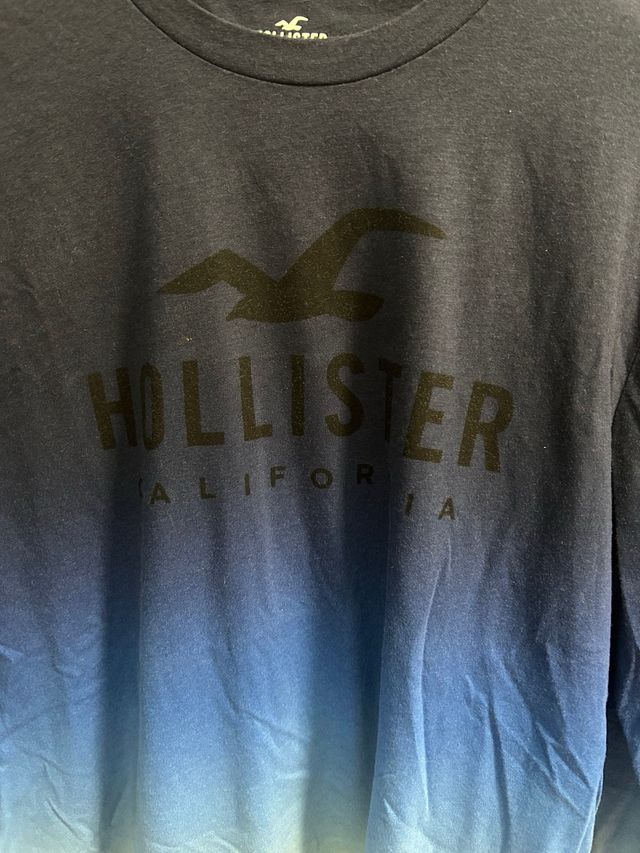 Sudadera Hollister Degradado