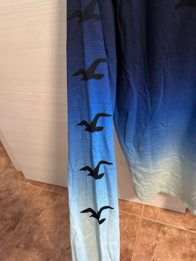 Sudadera Hollister Degradado