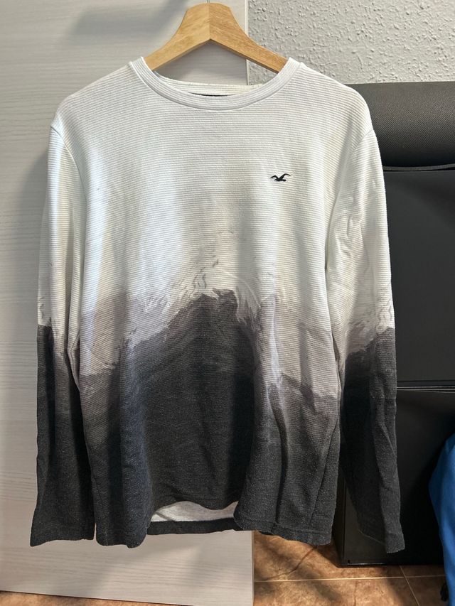 Sudadera Hollister Manga Larga Degradado