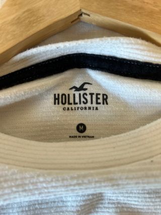 Sudadera Hollister Manga Larga Degradado