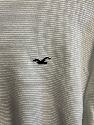 Sudadera Hollister Manga Larga Degradado
