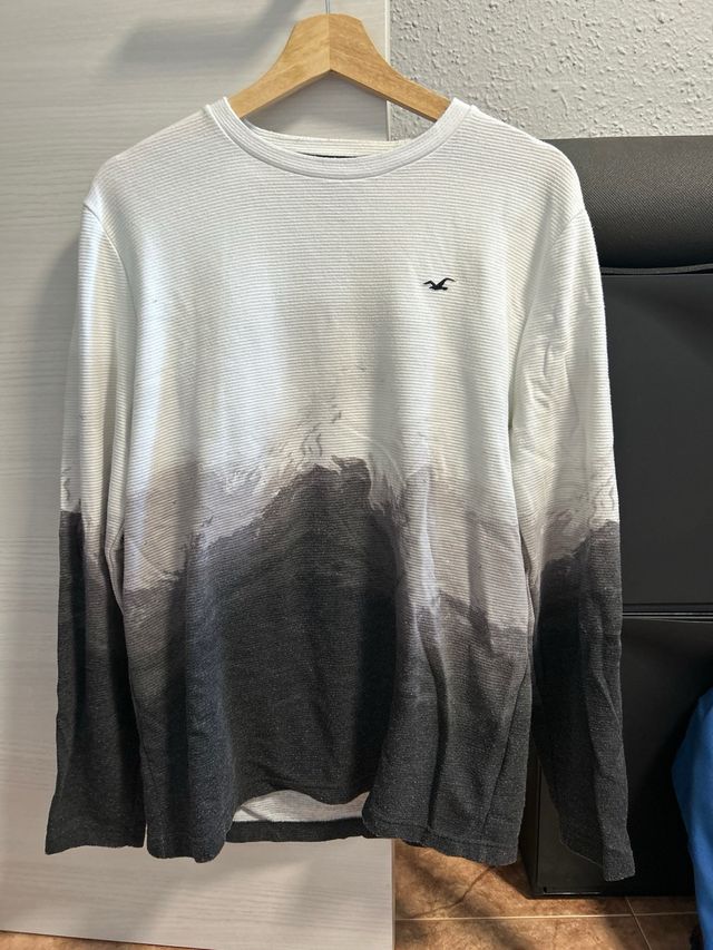 Sudadera Hollister Manga Larga Degradado