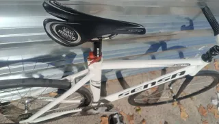 Fixie Sensa Pista Holland fixed gear cinelli miche