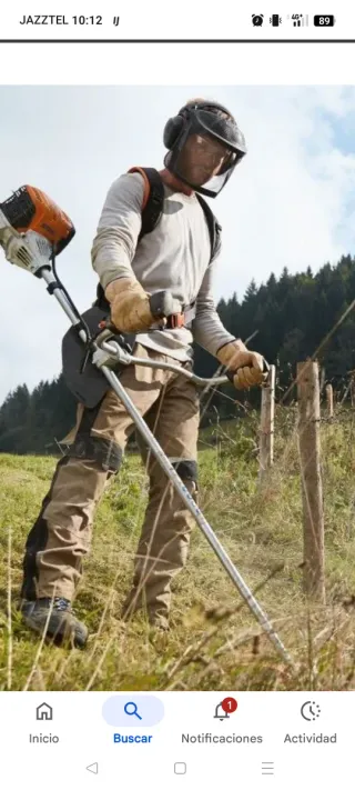 REALIZO TRABAJOS DE PINTURA DESBROZAR PLADUR