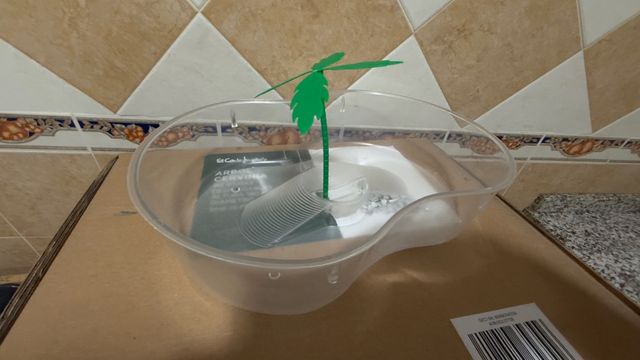 Tortugera con palmera decorativa