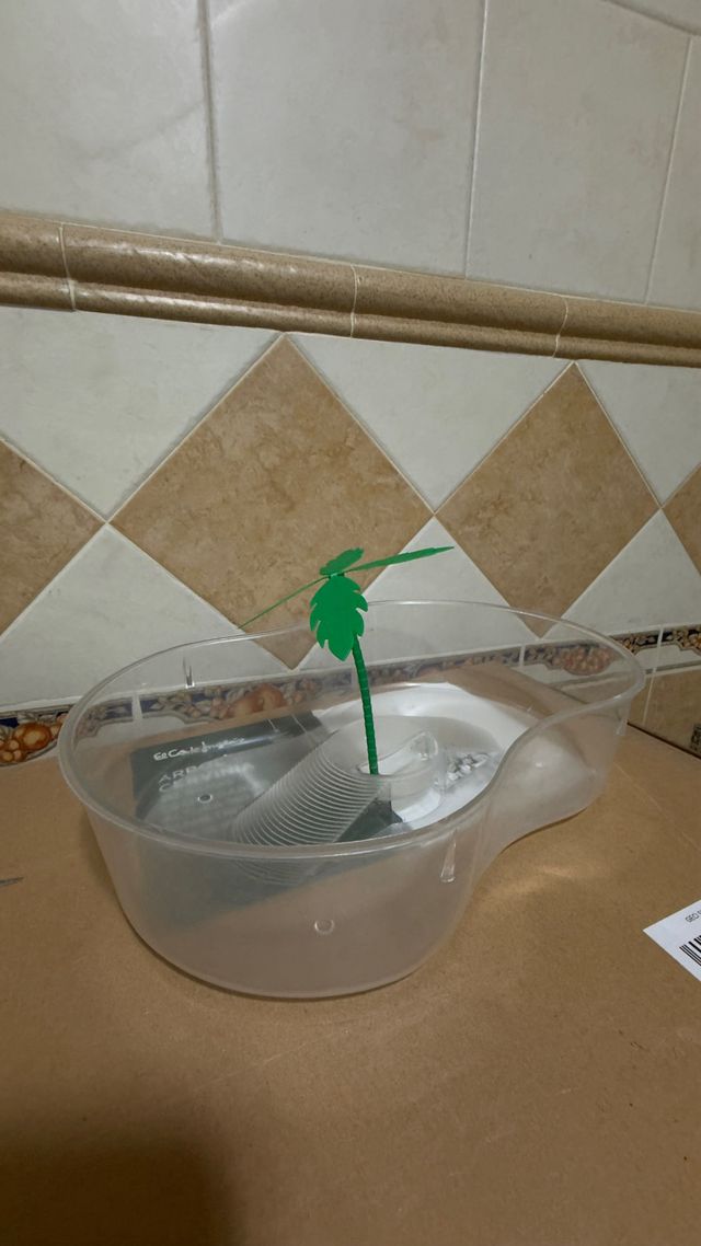 Tortugera con palmera decorativa