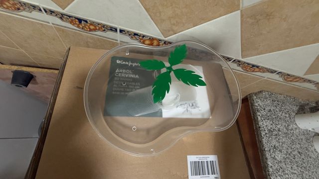 Tortugera con palmera decorativa