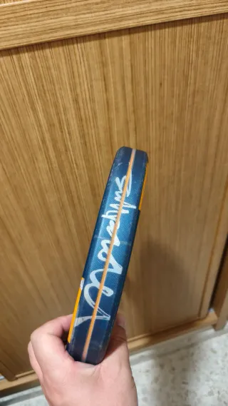 Pala Bullpadel Ionic control