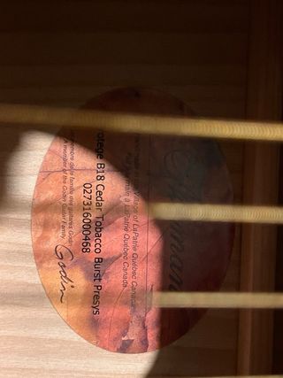 Guitarra Acústica Norman