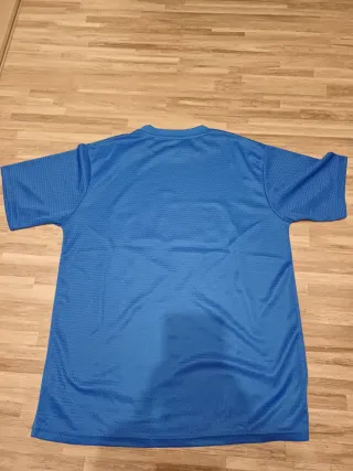 Camiseta técnica Sane azul