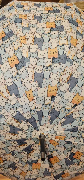 Paraguas y guantes con estampado de gatos