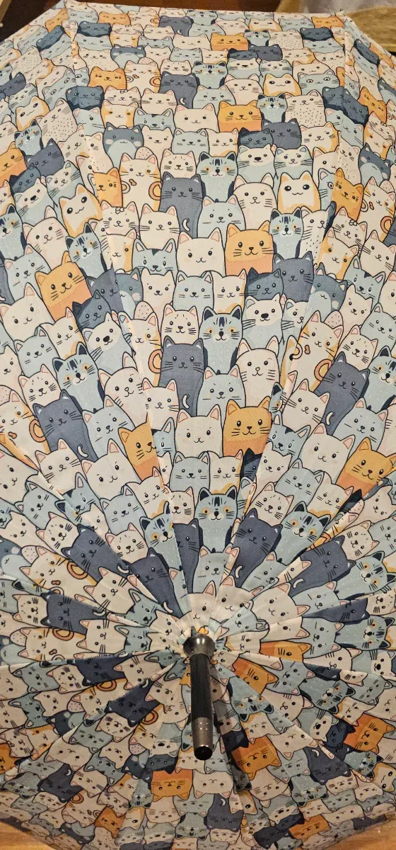 Paraguas y guantes con estampado de gatos