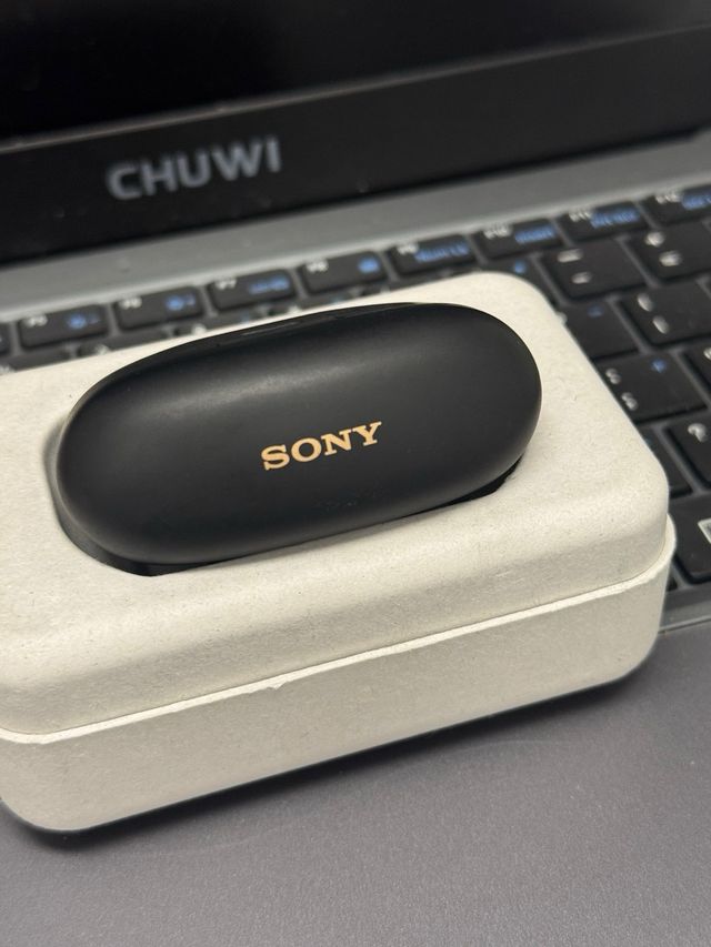 Sony WF-1000XM5 Negros