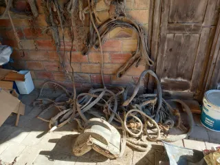 3 cabezales de montura y cuerdas