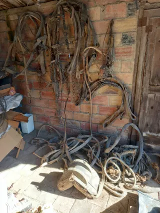 3 cabezales de montura y cuerdas