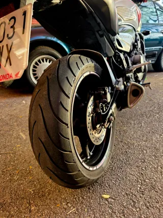 Honda Hornet 600 – Model 2010 (CB600F)