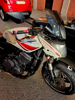 Honda Hornet 600 – Model 2010 (CB600F)