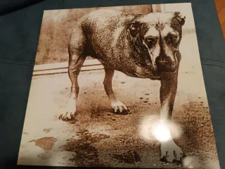 Alice in Chains LP-Vinilo