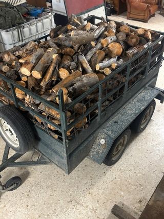 Legna per caminetto maneggevole: Pino, eucalipto