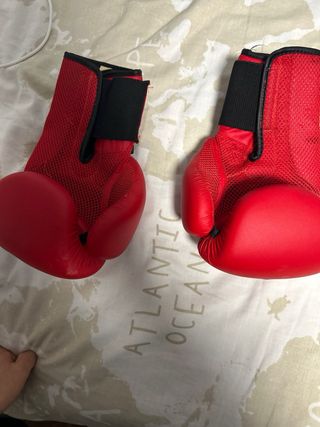 Guantes de Boxeo Rojos 14 oz
