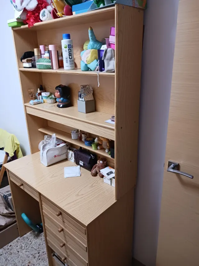 Escritorio de madera y plástico