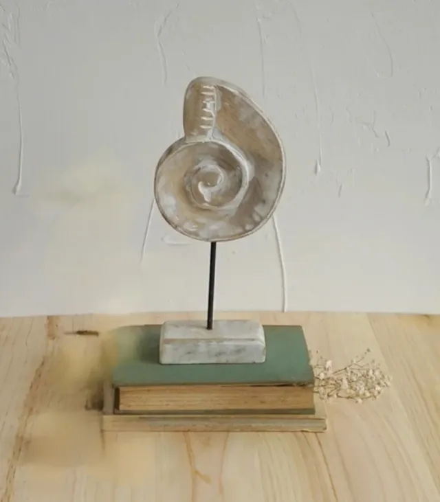 Decoração marítima em madeira concha