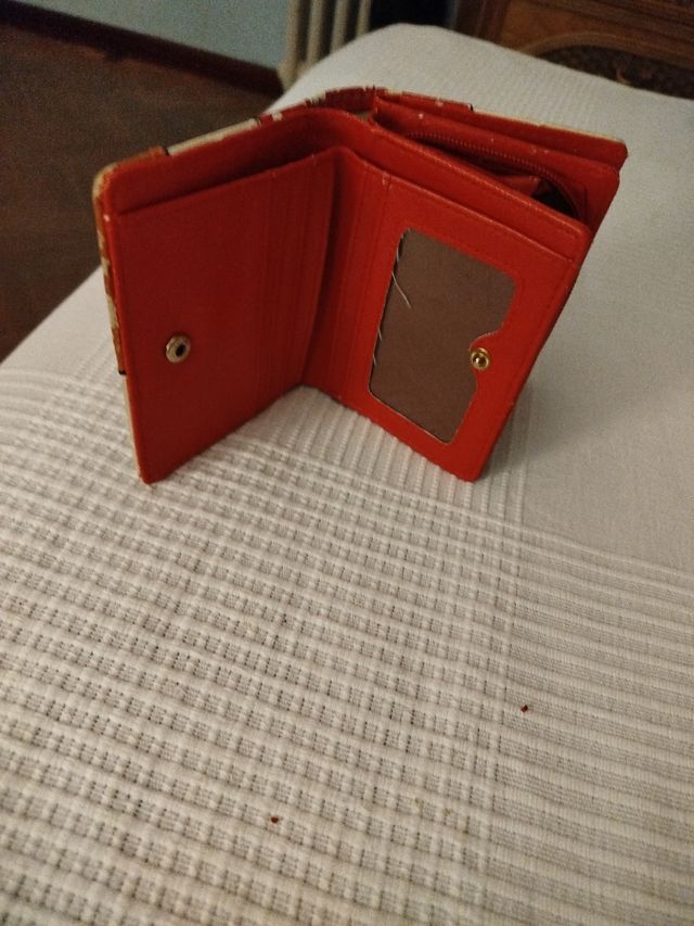 Cartera de Colores Muy Manejable